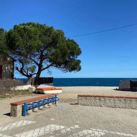 Appartement Perseides à Argelès-sur-Mer Extérieur photo