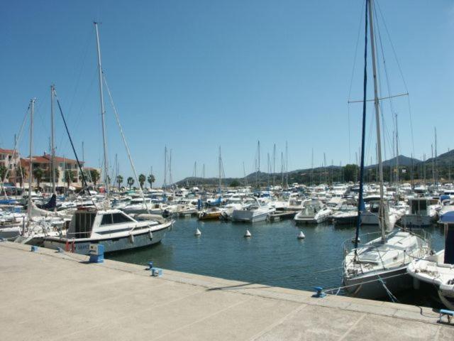 Appartement Perseides à Argelès-sur-Mer Extérieur photo